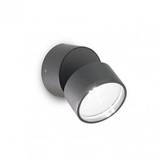 Omega Round Outdoor Cool White LED Wall Mounted Spotlight In Anthracite Finish