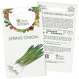 Spring Onion Seeds, Scallion Winter Seeds for Cultivation, Premium Winter Vegetable Seeds for Planting About 100 Green Spring Onions, Seeds for Gardening Vegetable Plants by OwnGrown