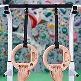 TWO STONES Portable Hangboard Rock Climbing as Pull Up Ring for Rock Climbers Trainning Indoor or Outdoor