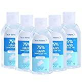Blue Safety™ 100ml Hand Sanitiser with 75% Alcohol - Antibacterial, Instant Hand Gel [Pack of 6]