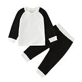 Toddler Girls Boys Winter Long Sleeve Tops Pants 2PCS Outfits Clothes Set for Babys Clothes Underwear Set 23 Piece Gift Set (P, 2-3 Years)