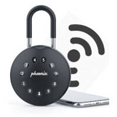 Phoenix Palm Key Safe With Electronic Lock & Steel Padlock …