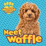 Meet Waffle!: 1 (Waffle the Wonder Dog) - Paperback