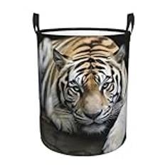 Large Laundry Basket Tiger Lie On Rock Print Laundry Hamper Collapsible Laundry Baskets Freestanding Waterproof Laundry Bag for Bedroom Bathroom Laundry Room