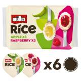 Muller Rice Apple & Raspberry Pudding Dessert
