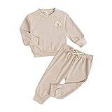 Infant Toddler Newborn Baby Boys Long Sleeve Rainbow Solid Sweatshirt Blouse Tops Trousers Pants Outfit Set 2PCS Clothes New Born Baby Boy (Khaki, 2-3 Years)