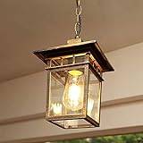 E27 Square Metal Vintage Hanging Suspension Lamp American Industrial Retro Outdoor Pendant Light Lantern Waterproof Garden Balcony Corridor Aisle Porch Chandelier Lighting (Color : Brass) (Co