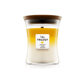 Woodwick Trilogy Fruits of Summer Medium Jar Candle