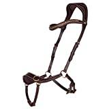Countrypride Anatomical Bitless Bridle with Reins Luxury Look Solid Brass Fitting Black and Brown (Pony, Brown)