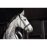 Catago Double Rolled Bridle - Cob / Black