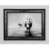 Donkey Curiosity - Single Picture Frame Art Prints - black (84.1 H x 142.2 W x 8.0 D cm)