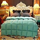 BIRANH Classic Hollowfibre Double Duvet,Bedding Soft Double Duvet,Winter Duvet Double Bed, Anti-allergic,220x240cm-4kg
