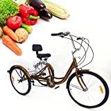 SHZICMY 24 Inch 6 Speed Tricycle Bike for Adults 3 Wheel Bikes Adult Tricycle with Shopping Basket for the Elderly Outdoor Sports Shopping