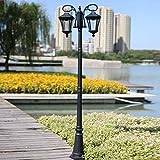 okuya Pendant Lights Outdoor Post Light with Glass Lampshade, 2-Head Surface-Mount Post Combination, E27 Landscape Lamp Post Lighting for Backyard, Patio, Garden, Walkway (Color : 2.5M)