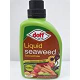 Doff Liquid Seaweed Concentrate - Organic & Natural Plant Growth Stimulant, For Use on Plants, Shrubs, Flowers & Vegetables, 1 Litre Makes up to 300 Ltrs
