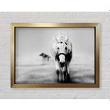 Donkey Curiosity - Single Picture Frame Art Prints (42.0 H x 59.7 W x 3.4 D cm)