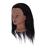 Mannequin Head 16 Lace Front Wigs with (Black, One Size)