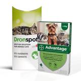 Cats 2.5kg-4kg: 3-Month Advantage Spot-On Flea Treatment with Dronspot Spot-On Wormer - 2.5kg-4kg