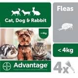 Advantage 40 Flea Treatment for Small Cats / Small Dogs / Rabbits 4 Pipettes