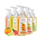 Lovery Set Of 5 Foaming Hand Soaps In Citrus Scents, Moisturizing Hand Wash