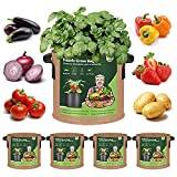T4U 5-Pack 3 Gallon Fabric Plant Grow Bags, Heavy Duty Smart Growing Bag with Handle, Thickened Breathable Nonwoven Growbag Planter Container for Potato Tomato Chili Strawberry Vegetable Seed Outdoor