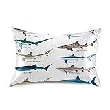 Poeticcity Different Kind of Sharks Species Isolated on White Background Silky Satin Pillowcase for Hair and Skin, Cooling Silk Pillow Cases, Soft Slip Bed Pillow Cover, Queen Size 20x30 inches