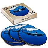 4 x Eco Boxed Cork Coasters - Orca Killer Whale Underwater Drink Cup Mug Glass Table Mat #2006
