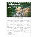Luchszauber Planner, DIN A3 Calendar for 2025, Lynx, Gift Set, Contents: 1 x Calendar, 1 x Christmas Pendant, 1 x Greeting Tag (3 Pieces)