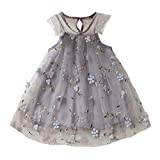 Costume Princess Party Dress Princess Baby Lace Toddler Embroidery Floral Girls Clothes Sleeve Fly Dress TuTu Girls Dress&Skirt Birthday Party Wedding Bridesmaid Girl Dresses (Grey, 12-18 Months)