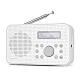 DAB/DAB+ & FM Radio,Portable Compact DAB Radios,Rechargeable Battery and Mains Powered Portable Radio with 10 Hours Playback,Radio with Dual Alarm Clock,60 Preset Stations(Stone Grey)