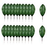 CAXUSD 30pcs Artificial Magnolia Leaves Magnolias Stems Artificial Plant Branches Decorative Green Leaves Leaf Bookmarks Simulated Plant Faux Leaves Garland Decorations Silk Cloth Large