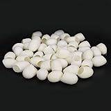Small Silkworm Cocoons Light Weight Blackhead Removal Blackheads Make Skin Bright Silks Cocoons for Skin