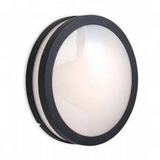 Zenith Circular Outdoor Wall Light in Graphite Finish