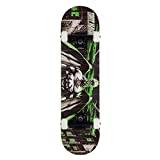 Tony Hawk Signature Series Complete Skateboard, Standard Skateboard for Adults Kids, Complete Board with ABEC-9 Bearing 7-layer Hard Maple Deck, for Beginners and Professionals (Skateboard - Green)