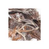Natural Feathers, Assorted Colors - 3 per Pack