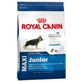 Royal Canin Dog Maxi Junior 4kg - 15kg