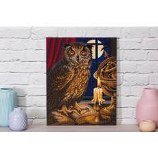 Craft buddy diy crystal art astrologer owl picture kit by lisa parker 40 x 50 cm
