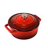 CS Kochsysteme XANTEN Mini Roasting Pan Cast Iron Oven Safe Dishwasher Safe PronamelPlus Non-Stick Coating Suitable for Induction Cookers PTFE and PFOA (Red)