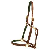 Tory Leather 3/4" Padded Halter with Brass Hardware