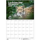 Luchszauber Planner, DIN A2 Calendar for 2025, Lynx, Gift Set, Contents: 1 x Calendar, 1 x Christmas Pendant, 1 x Greeting Tag (3 Pieces)