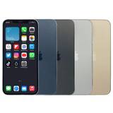 Apple iPhone 12 Pro Max - Gut / Pazifikblau / 256 GB