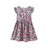 Girls Toddler Kids Crew Neck Summer Sleeveless Sundress Casual Beach Floral Prints Party Dress Long Sleeve Vintage Dress for Girls (Pink, 7-8 Years)