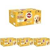 Pedigree Puppy - Wet Dog Food - for Junior Dogs - Can Mixed Selection in Jelly - 6 x 400g (Pack of 4)