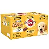 Pedigree Puppy - Wet Dog Food - for Junior Dogs - Can Mixed Selection in Jelly - 6 x 400g