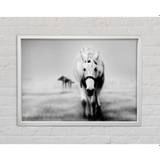 Donkey Curiosity - Single Picture Frame Art Prints on Canvas (59.7 H x 84.1 W x 3.3 D cm)