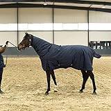 Lightweight Turnout Rugs for Horses with Full Neck, Winter Padded Windproof and Waterproof Horse Blanket, Breathable Horse Rug with Neck & Tail Cover,Outdoor Winterproof Horse Riding Training Wear