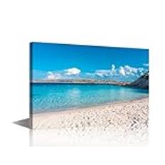 TISHIRON 1 Panel Large Wall Art For Living Room, Amazing beach of Spargi island Maddalena Archipelago Sardinia Italy Pictures Canvas Framed Ready To Hang Home Hotels Restaurant Decor (24" Wx36 H)
