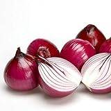 Red Onions Seeds, 50 Heirloom Seeds, Non GMO Seeds, Organic-Delicious Spicy Red Onion Seeds Vegetable Seeds Premium Plant Seeds for Planting Kitchen Garden Indoor Outdoor Red Onion Seeds