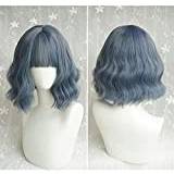 Color Mixed Gradient Heat Resistant Synthetic Fiber Hair Korean Short Curly Wavy Lace Front Wigs with Air Bangs for Cosplay 18inches/46cm (Color : Blue Gray, Edition : Wigs) chenghuax
