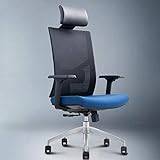 Office Desk Chair Ergonomic Office Chair, Swivel Backrest Computer Chair Nylon Feet Adjustable Lifting Armchair Conference Chair Boss Chair (Color : Blue, Size : Aluminum Alloy) (Blue Aluminum alloy)